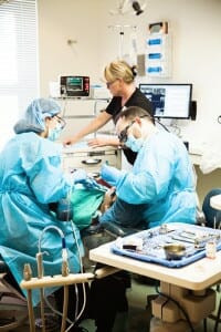 dental exam in process